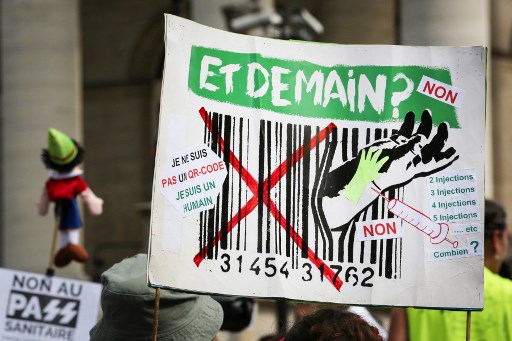 Environ 29 000 manifestants anti-pass sanitaire en France