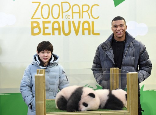 Les bébés pandas de Beauval prénommés Yuandudu et Huanlili en présence de Mbappé