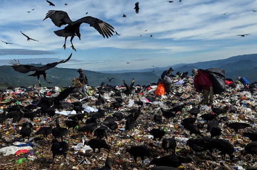 Des vautours noirs volent au-dessus de la décharge publique alors que les gens fouillent dans les ordures, dans la banlieue nord de Tegucigalpa, Honduras, le 24 novembre 2021. (Luis Acosta/AFP)