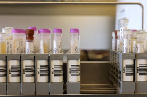 L'EMA examine une demande d'autorisation du vaccin de Novavax