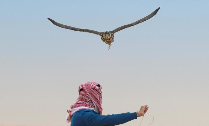 Le festival saoudien de la fauconnerie débute à Riyad