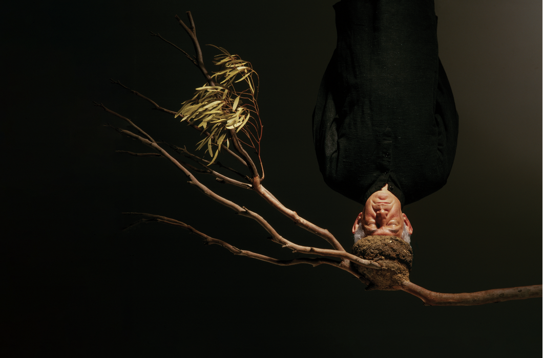 Hossein Valamanesh : Puisque tout passe