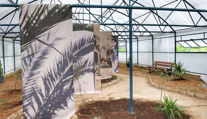 «Effet de serre» de Farah Khelil, au Jardin des plantes du Parc du Belvédère de Tunis