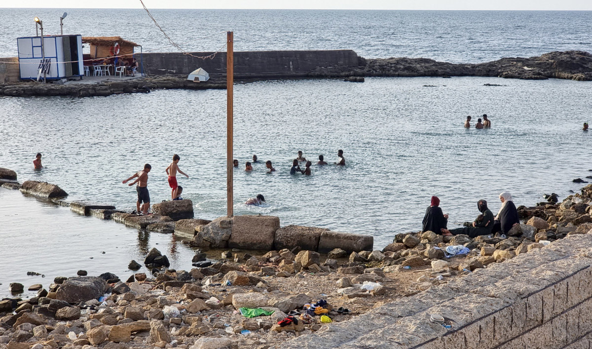 mediterranee