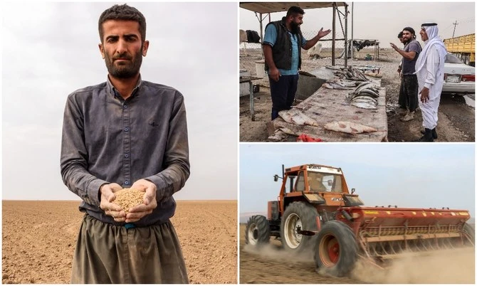 En Irak, les agriculteurs peinent sous l’effet des phénomènes météorologiques extrêmes