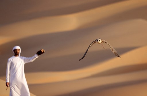 L'émirati Ali Mansouri dresse un faucon dans le désert de Liwa, à quelque 250 kilomètres à l'ouest de l'émirat du golfe d'Abou Dhabi, le 9 janvier 2021. Karim SAHIB / AFP