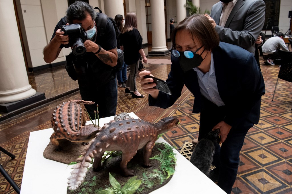 Découverte d'un nouveau dinosaure à la queue inédite au Chili