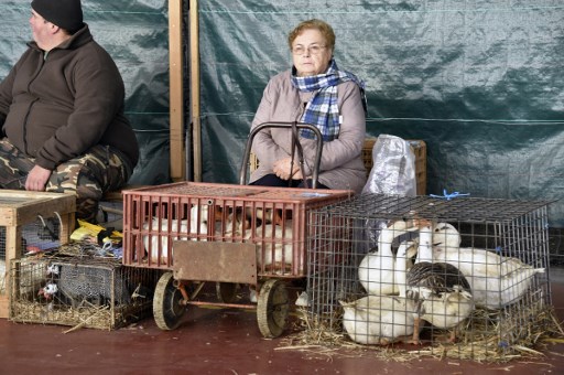 Volailles au marché de Samatan, dans le sud-ouest de la France. (Pascal Pavani / AFP)