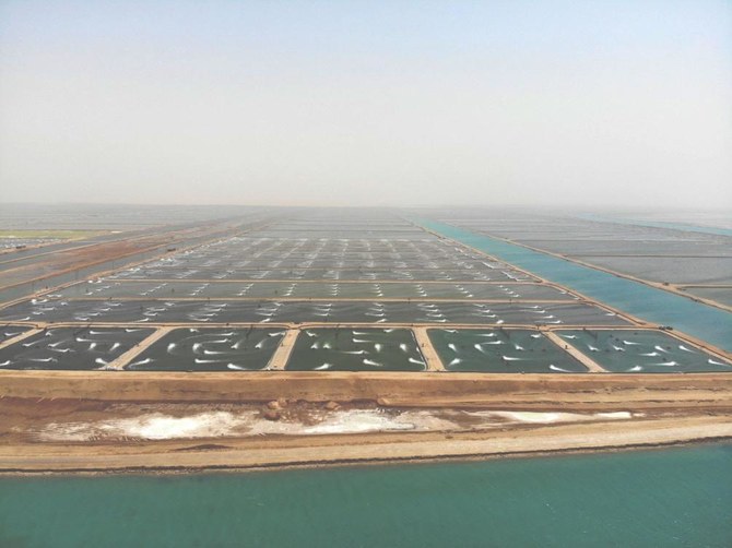 La production aquacole en Arabie saoudite va quintupler d'ici à 2030 avec le concours de Neom et du TRSDC