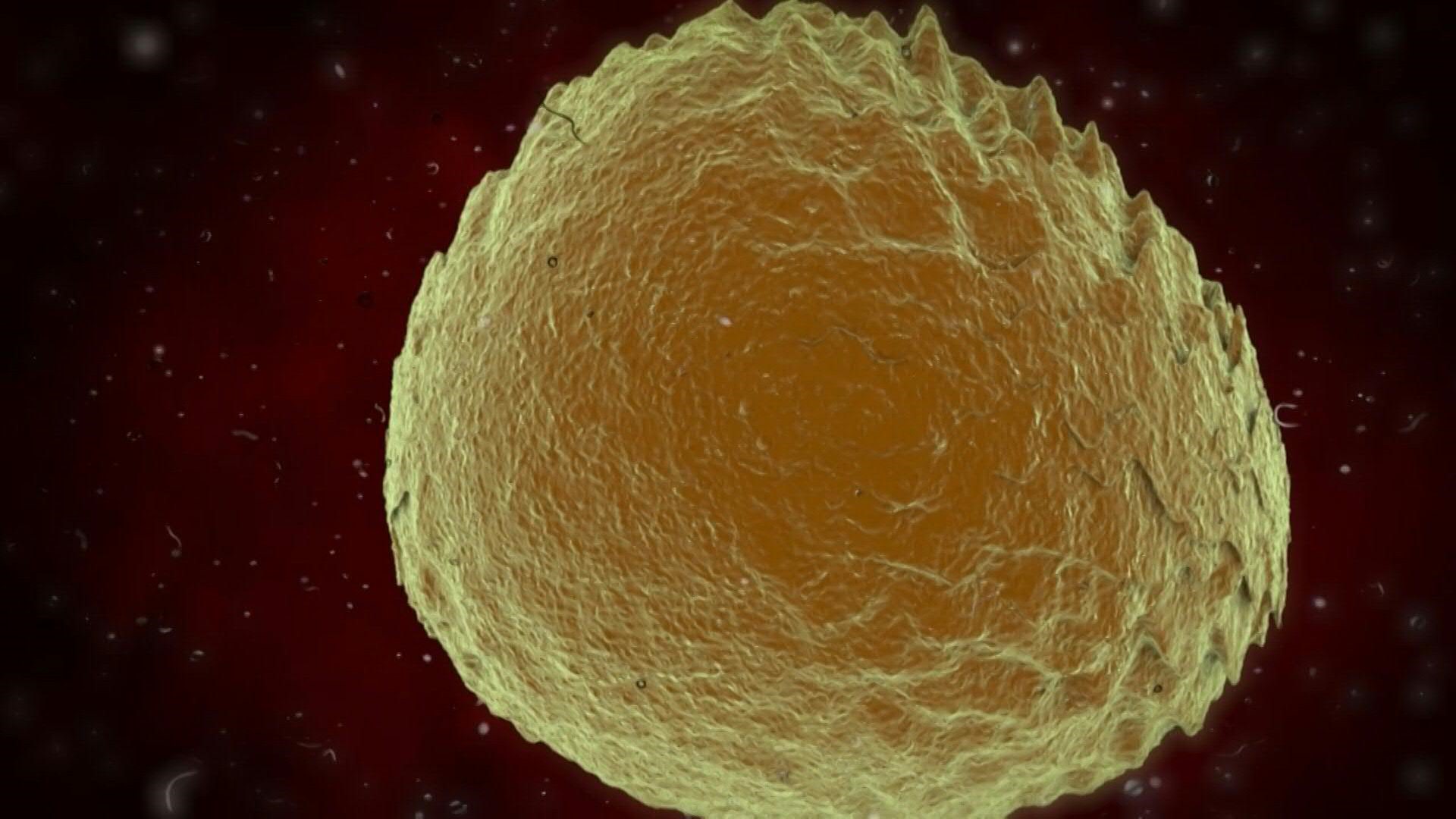 Covid-19 : le monde face à un «tsunami» de contaminations