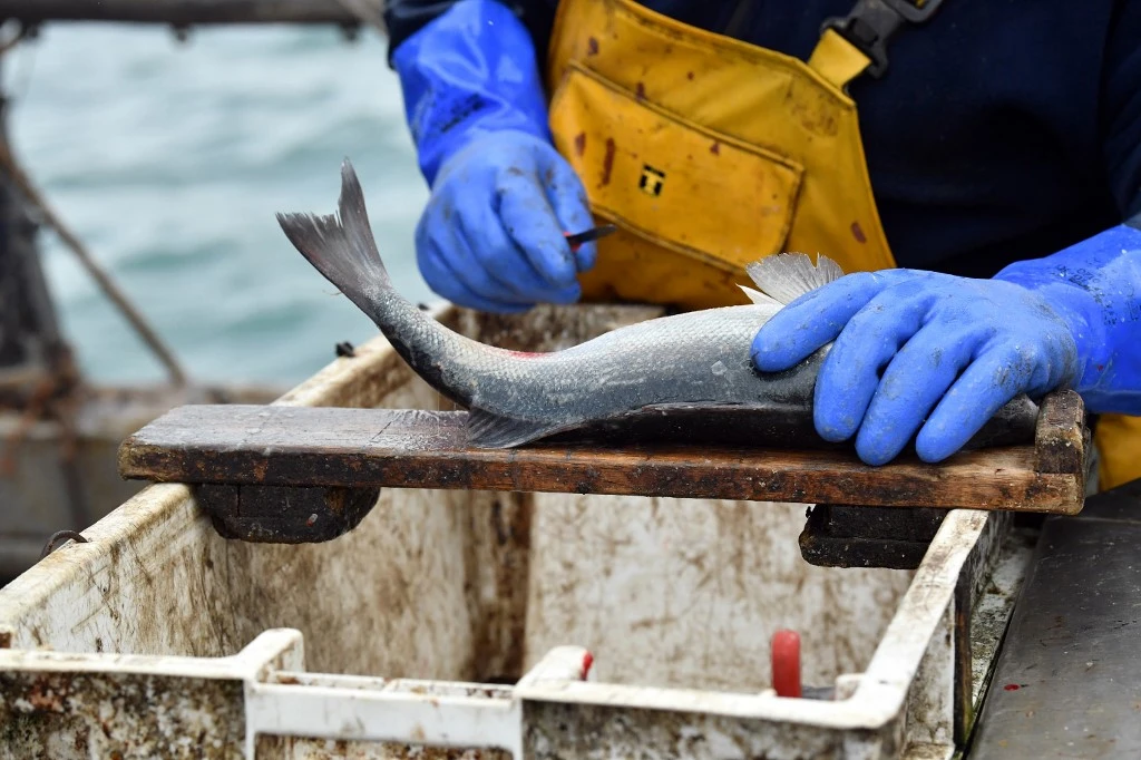 Course contre la montre à Bruxelles pour régler le conflit des droits de pêche