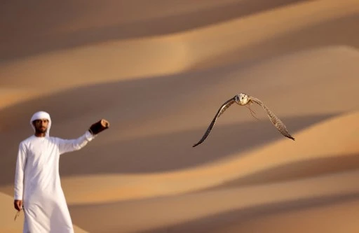 L'émirati Ali Mansouri dresse un faucon dans le désert de Liwa, à quelque 250 kilomètres à l'ouest de l'émirat du golfe d'Abou Dhabi, le 9 janvier 2021. Karim SAHIB / AFP