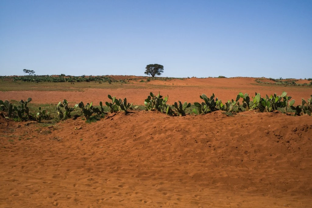 Climat: le réchauffement pas responsable de la famine à Madagascar, selon une étude