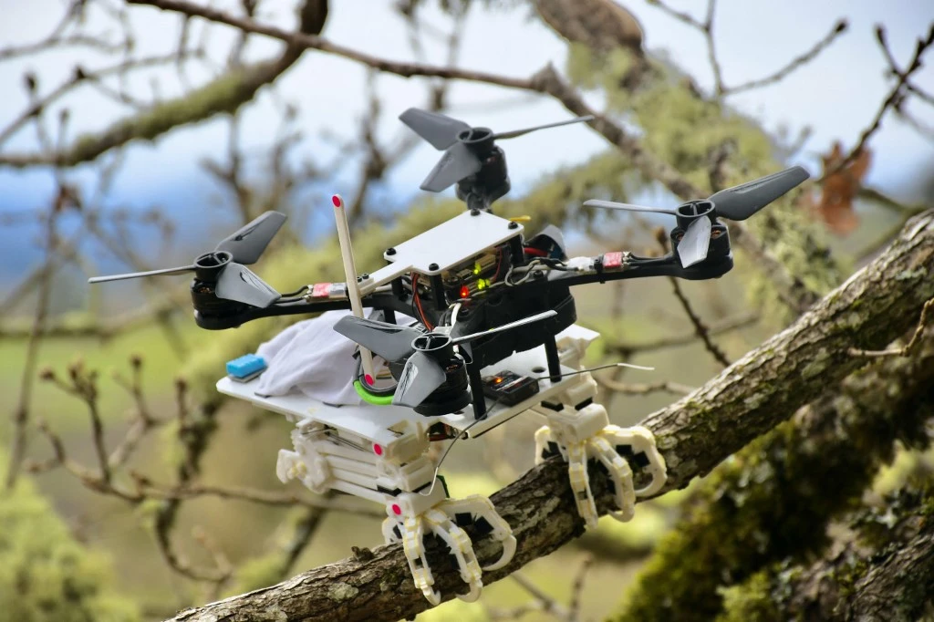 Un robot oiseau capable de se poser et d'agripper des objets