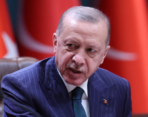 Turquie : le délit «d'insulte au président» ne restera pas impuni, promet Erdogan