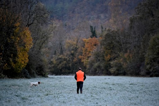 Cette photo d'archive prise le 7 novembre 2021 montre le directeur de la chasse au sanglier Sylvain et son chien 'Noé' recherchant la piste des sangliers avant une journée de chasse organisée par les associations de chasseurs de quatre communes dans le sud-ouest de la France. (Valentin Chapuis/AFP)