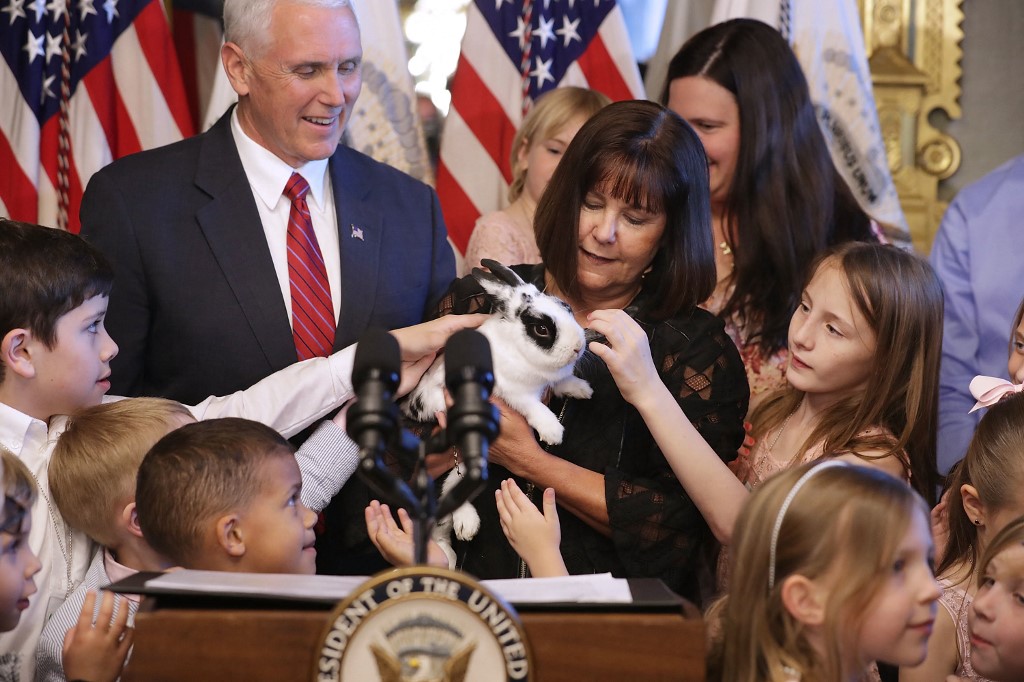 USA: le lapin de l'ancien vice-président Pence, star de livres pour enfants, est mort