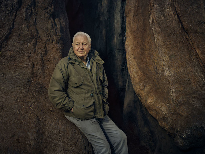 Sir David Attenborough et la sauvegarde des plantes dans “The Green Planet” sur la BBC
