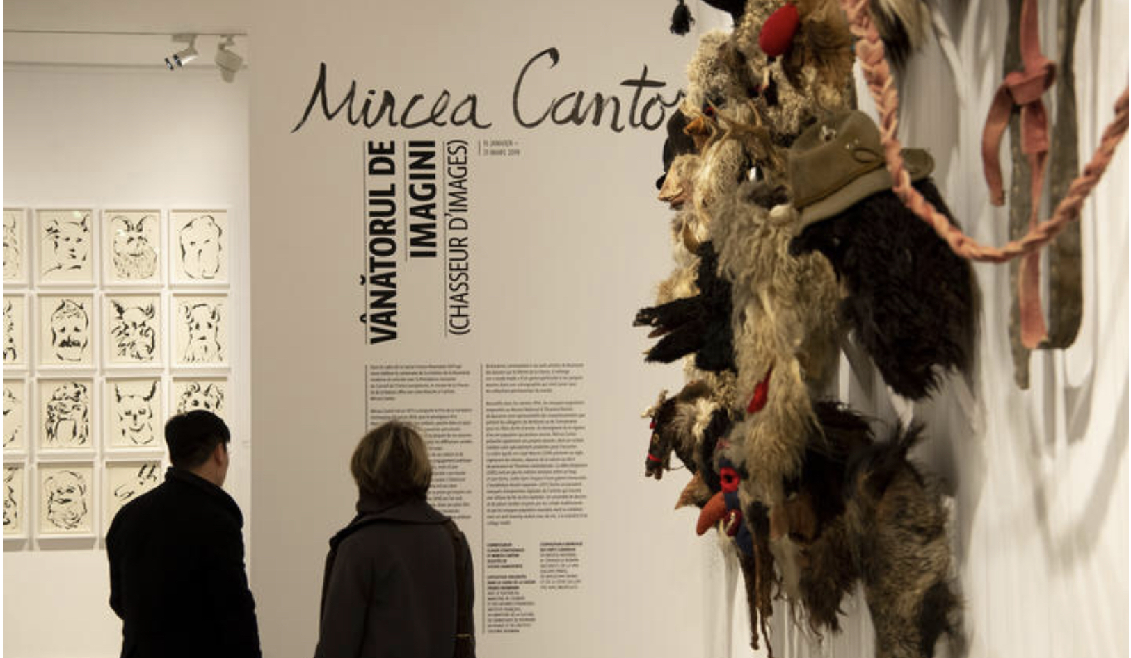 Mircea Cantor au Musée de la Chasse et de la Nature