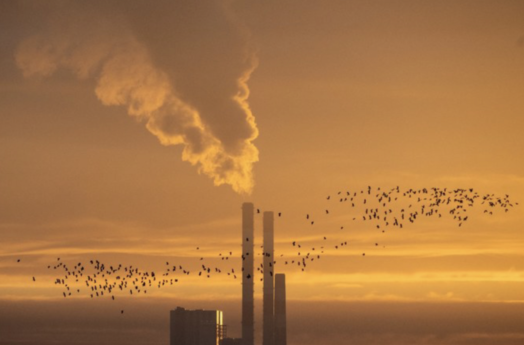 EDF, partenaire stratégique en matière de décarbonisation de l’énergie dans la région