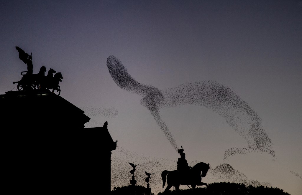 rome