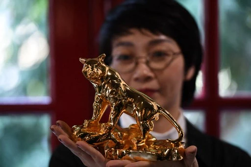 Cette photo prise le 19 janvier 2022 montre une femme posant avec un modèle de tigre plaqué or à Hanoï, avant le Nouvel An lunaire qui célébrera l'Année du Tigre. (Nhac Nguyen / AFP)