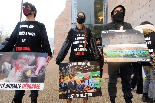 Du sursis requis contre des animalistes pour des tags et dégradations dans des élevages