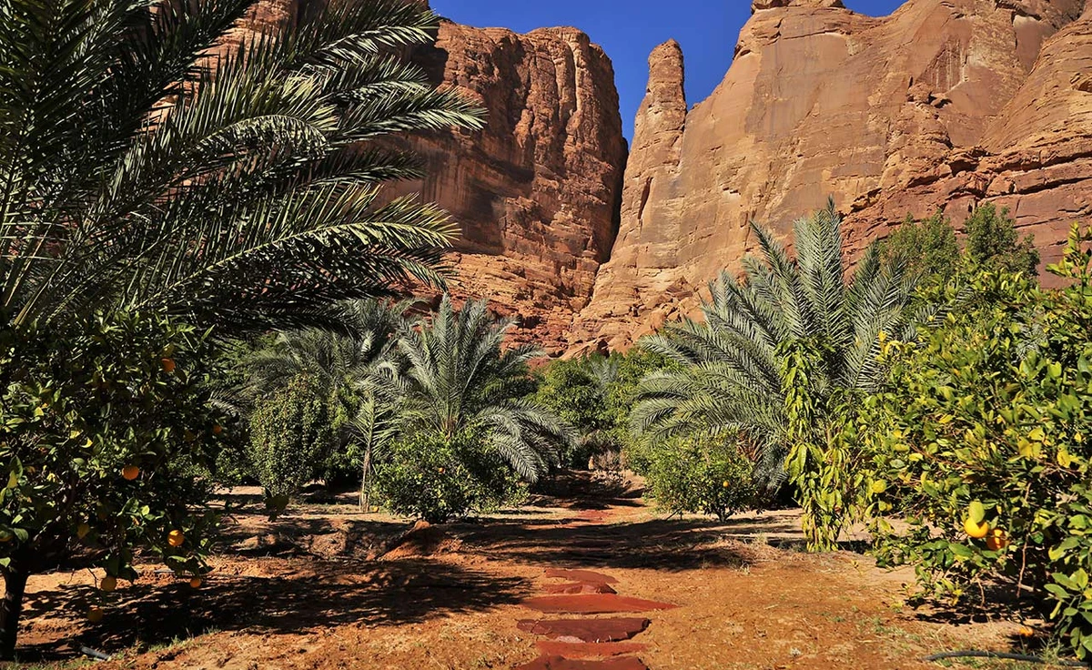AlUla : «Renaissance de l’oasis»