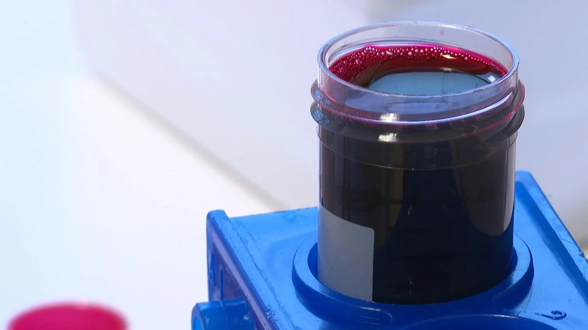 Du faux sang, nouvelle arme pour vaincre moustiques et paludisme