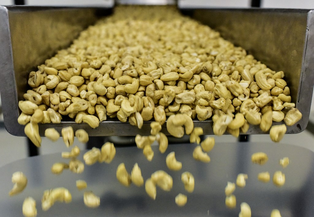 La Côte d'Ivoire devient 3e exportateur mondial d'amande de cajou