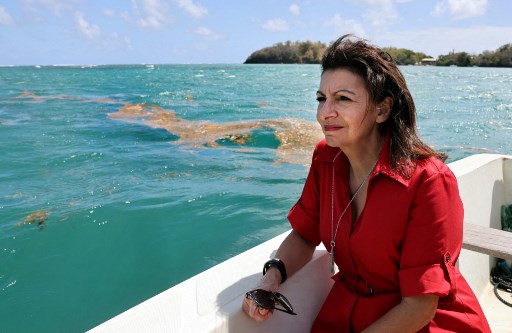 En Martinique, Anne Hidalgo dénonce «l'inaction climatique» de Macron sur les sargasses