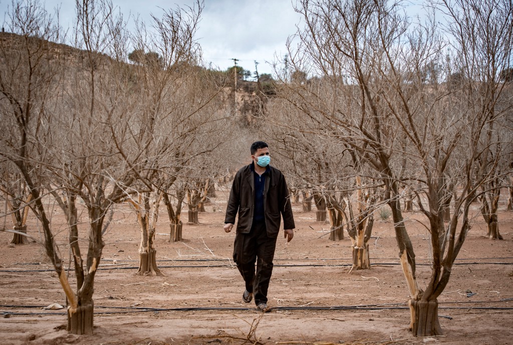Face à la sécheresse, le Maroc débloque une aide d'urgence d'un milliard d'euros
