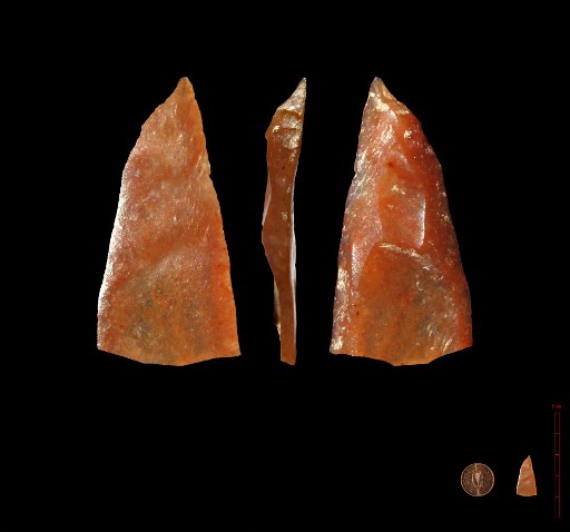 Homo sapiens est arrivé en Europe bien plus tôt que rapporté