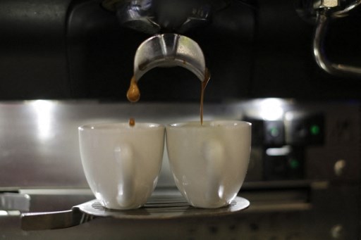 Le café «robusta», qui se développe dans les champs du Nicaragua, est l'alternative avec laquelle le pays va tenter de faire face aux coups de boutoir de changement climatique et améliorer la rentabilité de la production de café. (Inti Ocon/AFP)