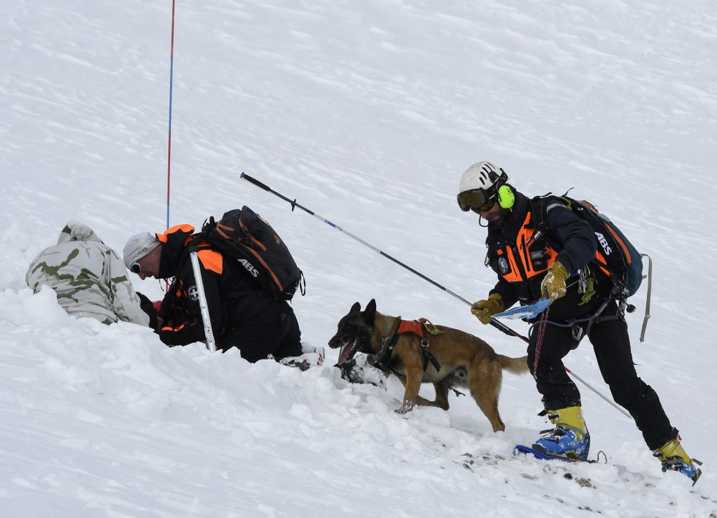 Des gendarmes français du PGHM (Peloton de Gendarmerie de Haute Montagne) avec un chien et des soldats français du GAM (Groupement d'Aguerrissement en Montagne) recherchent de prétendues victimes lors d'un exercice conjoint d'avalanche, le 13 février 2017, au col du Galibier près de Valloire, Alpes françaises. (AFP)