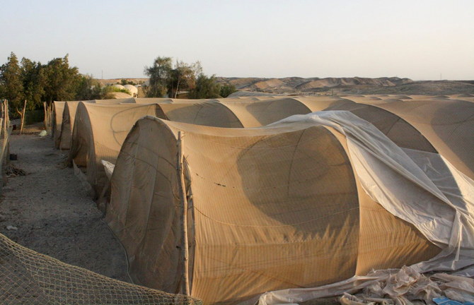 L’Égypte étudie des projets de dessalement de l’eau de mer utilisant des énergies renouvelables
