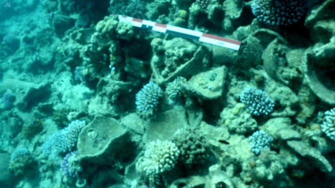 Des pièces antiques retrouvées dans une épave en Mer rouge