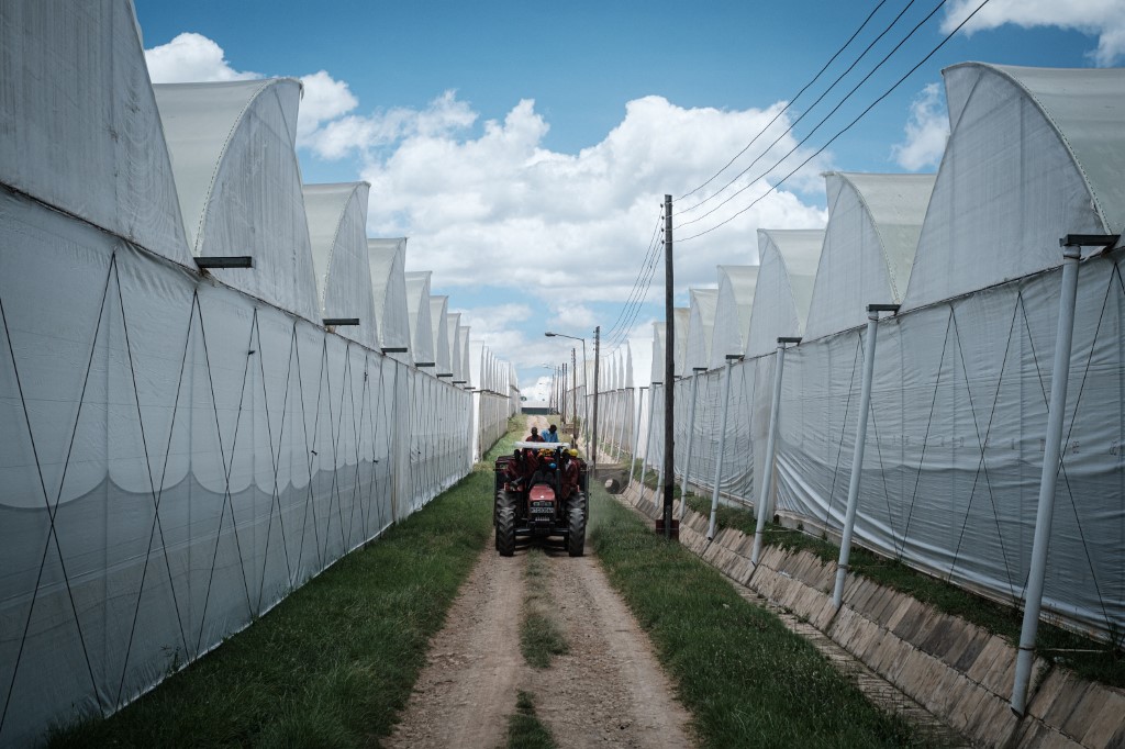 Sécurité alimentaire: l'UE veut doper sa production agricole face à la guerre en Ukraine