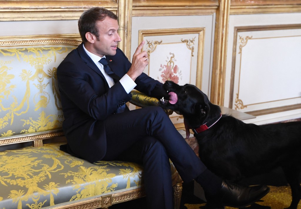 Présidentielle: Macron se lance enfin, ses adversaires à l'affût