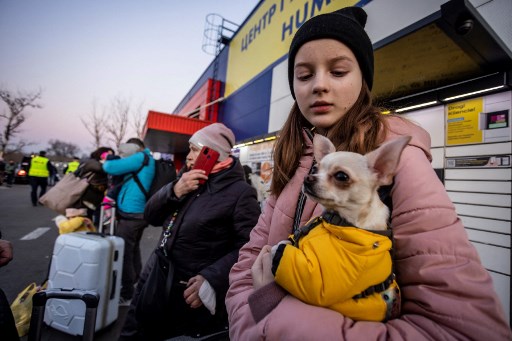 Pour les Ukrainiens qui fuient la guerre, les femmes, les enfants... et les animaux d'abord !