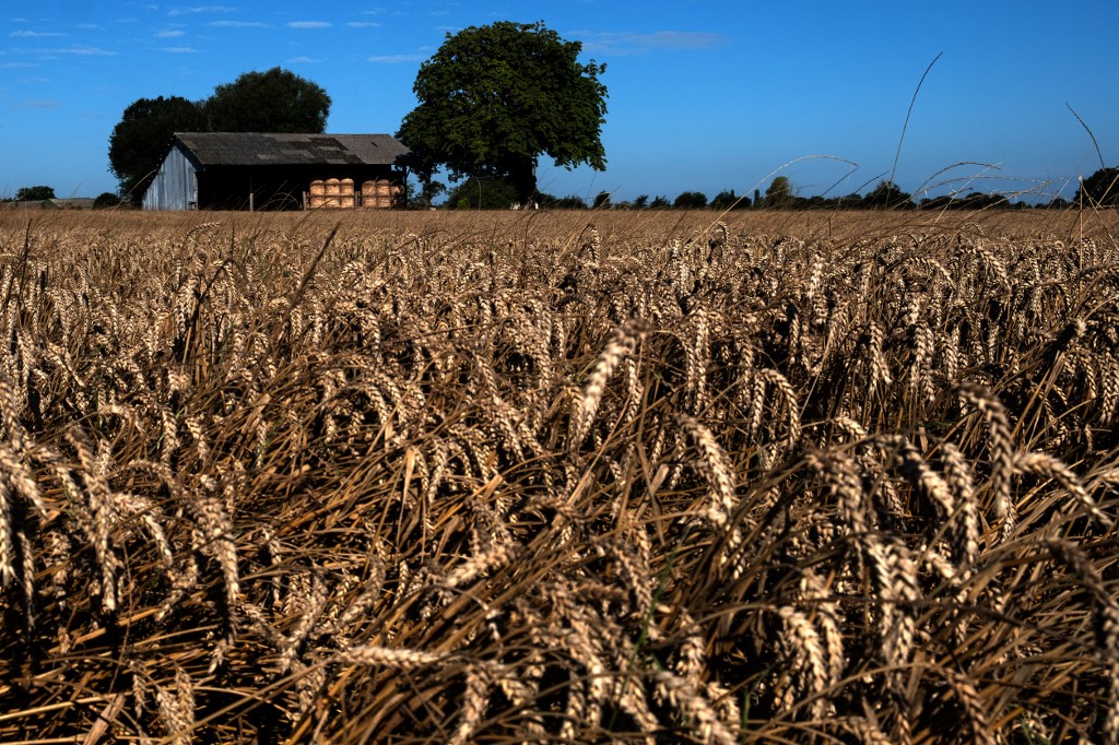 Agriculture: les ministres de l'UE réunis pour amortir l'impact du choc ukrainien