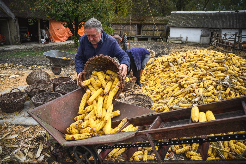 Ukraine: l'UE promet des aides aux agriculteurs, dément un abandon de sa statégie «verte»