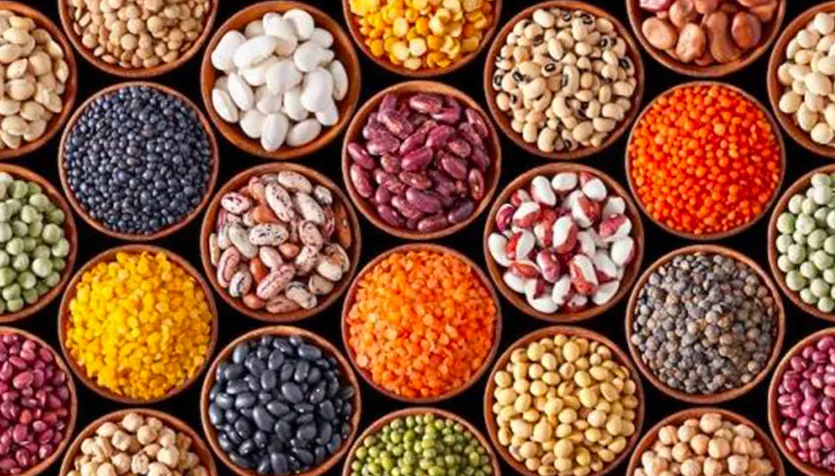 Nutrition: Les féculents font grossir entre mythe et réalité