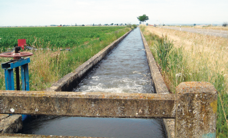 Irrigation traditionnelle des terres agricoles (Photo, Le Matin).