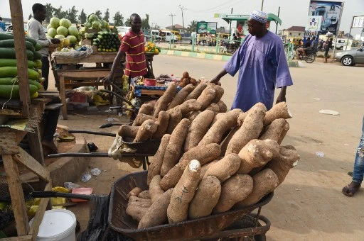 Loin de Kiev, l'Afrique face aux retombées économiques de la guerre en Ukraine