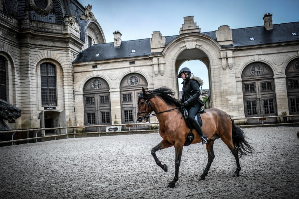 «Totem», nouveau spectacle du musée du cheval «à la gloire» des peuples cavaliers
