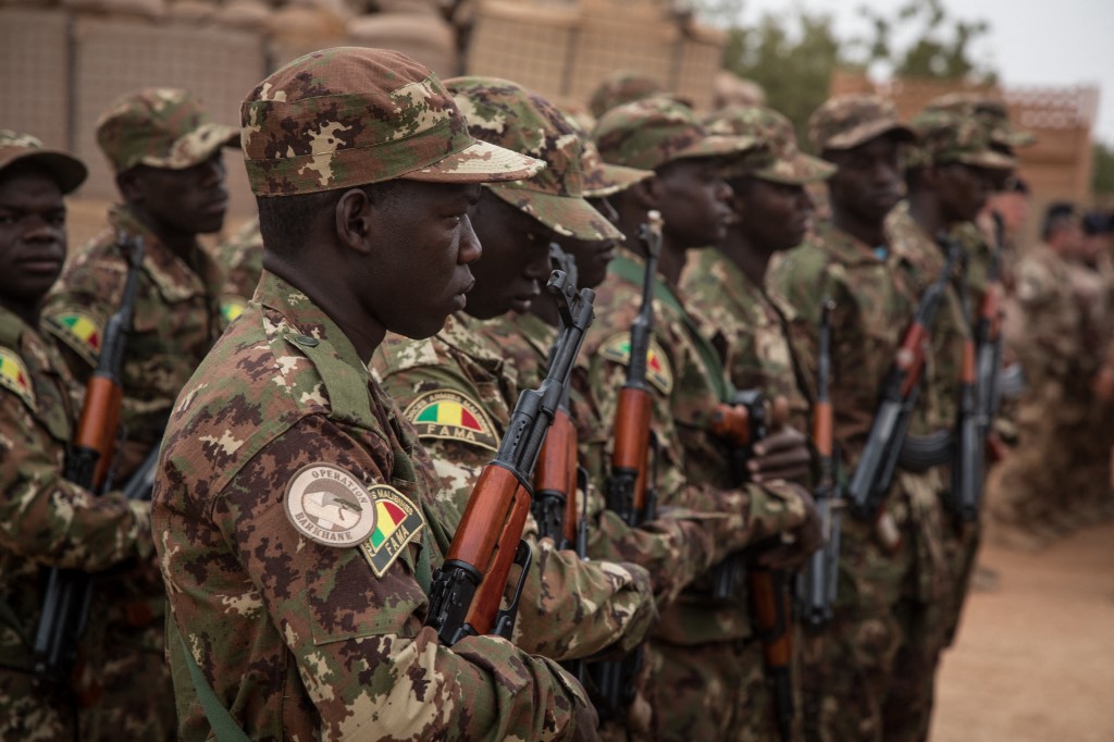 Mali: l'armée dit avoir tué «203 combattants» dans une opération au Sahel