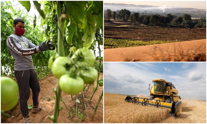 Une initiative américano-arabe s'attaque à la sécurité alimentaire dans la région MENA