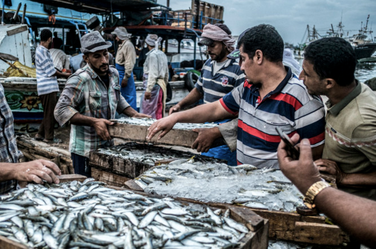 L’intelligence artificielle contribue à la pêche durable au Moyen-Orient