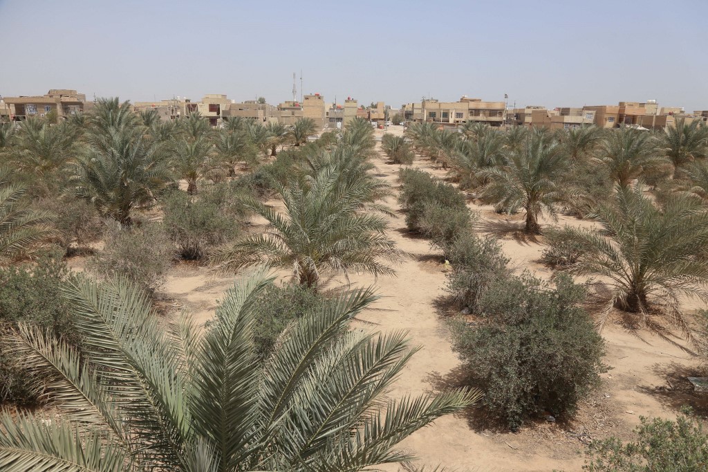 kerbala